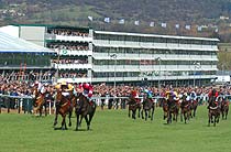 Cheltenham National Hunt Festival