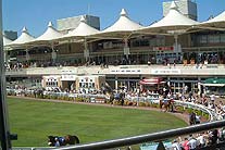 Sandown Park