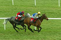 Horse racing