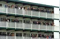 Needham & Needham enclosure